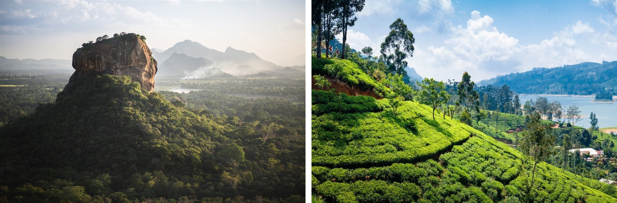 Srí Lanka - příroda
