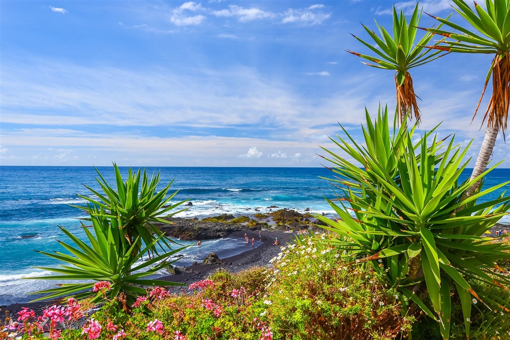 Dovolená Kanárské ostrovy - Tenerife