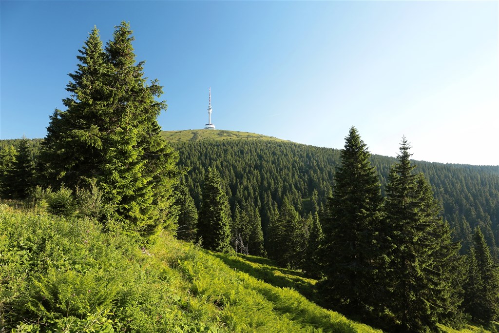 Dovolená v Česku: Proč se vydat za dobrodružstvím ve své domovině?