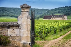  - FRANCIE - BEAUJOLAIS A BURGUNDSKO