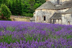 FRANCIE - PROVENCE, VŮNĚ LEVANDULE