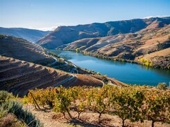 - PORTO - NEJKRÁSNĚJŠÍ MĚSTO PORTUGALSKA - PORTO - NEJKRÁSNĚJŠÍ MĚSTO PORTUGALSKA