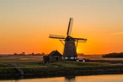 HOLANDSKO – ZA TULENI NA OSTROV TEXEL