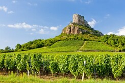  - FRANCIE - BURGUNDSKO A CHAMPAGNE