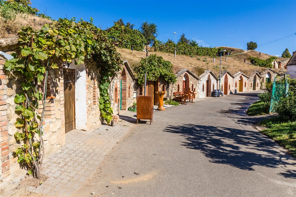 Jarní Morava a mandloňové sady