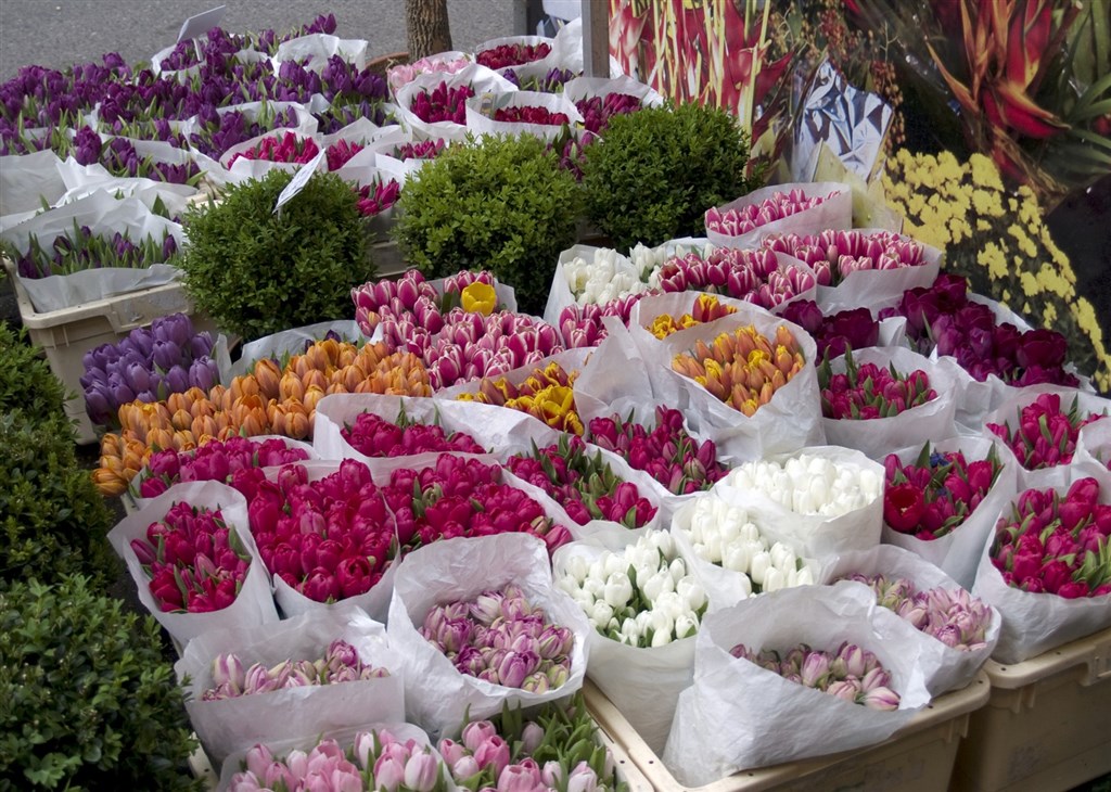 Новый цветочный рынок. Восточный цветочный рынок. Цветочный рынок в Европе. Цветочный рынок в Краснодаре. Цветочный рынок в Краснодаре оптовый.