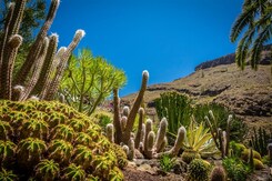 KANÁRSKÉ OSTROVY - GRAN CANARIA