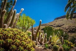 GRAN CANARIA - „OSTROV VĚČNOSTI“