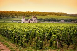 FRANCIE - BEAUJOLAIS A BURGUNDSKO