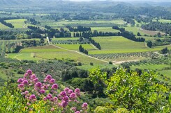 PROVENCE - VŮNĚ LEVANDULE