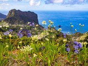 MADEIRA - EXOTICKÝ RÁJ