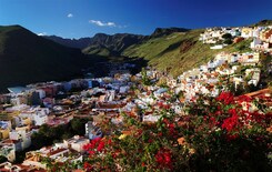 KANÁRSKÉ OSTROVY - TENERIFE