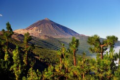 KANÁRSKÉ OSTROVY - TENERIFE