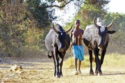 MADAGASKAR – PŘÍRODNÍ RÁJ PLANETY