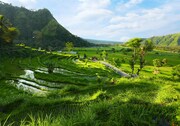 TAJUPLNÉ BALI a  BÍLÉ PLÁŽE OSTRŮVKŮ GILI AIR