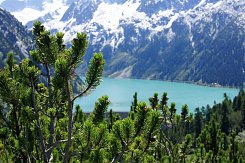 RAKOUSKO - ZILLERTALSKÉ ALPY, JEZERO ACHENSEE