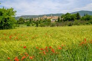 FRANCIE - KOUZLO STARÉ PROVENCE