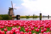 - JARNÍ BENELUX - JARNÍ BENELUX