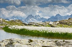 - RAKOUSKO - ZILLERTAL - RAKOUSKO - ZILLERTAL