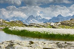 RAKOUSKO - ZILLERTALSKÉ ALPY, JEZERO ACHENSEE