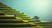 TAJUPLNÉ BALI