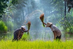 VIETNAM A KAMBODŽA