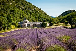 FRANCIE - PROVENCE, VŮNĚ LEVANDULE