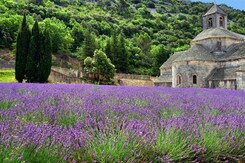  - FRANCIE - PROVENCE, VŮNĚ LEVANDULE