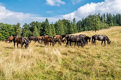 SLOVENSKÝ KRAS – SOUTĚSKY, JESKYNĚ A VYHLÍDKY