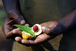 ZANZIBAR – TROPICKÝ RÁJ POD ROVNÍKEM