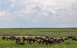 TANZÁNIE a ZANZIBAR