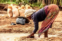 MADAGASKAR – PŘÍRODNÍ RÁJ PLANETY