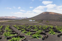 KANÁRSKÉ OSTROVY - LANZAROTE