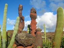 KANÁRSKÉ OSTROVY - LANZAROTE