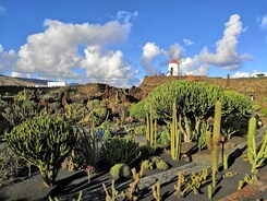 KANÁRSKÉ OSTROVY - LANZAROTE