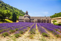 FRANCIE - KOUZLO STARÉ PROVENCE