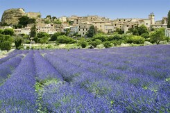 FRANCIE - KOUZLO STARÉ PROVENCE