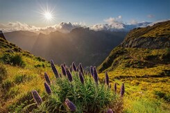 MADEIRA - EXOTICKÝ RÁJ