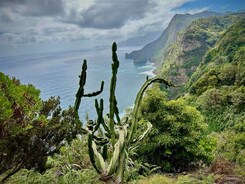 MADEIRA - EXOTICKÝ RÁJ