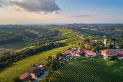 ŠTÝRSKO A JERUZALÉMSKÉ VINOHRADY