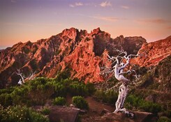 MADEIRA - EXOTICKÝ RÁJ
