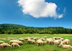 BESKYDY A VALAŠSKO