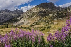 ANDORRA, ŠPANĚLSKO - NP PYRENEJÍ