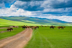MONGOLSKO – POUŠŤ GOBI, ČINGISCHÁN A DIVOCÍ KONĚ
