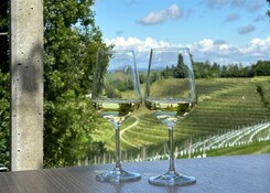 - SLOVINSKO – VELIKONOCE A VIVAT TERME 5* - SLOVINSKO – VELIKONOCE A VIVAT TERME 5*