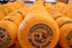 HOLANDSKÉ IKONY A SKRYTÝ KLENOT – OSTROV TEXEL