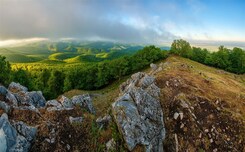 SLOVENSKO – HUSÍ HODY