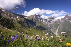 RAKOUSKO - STUBAITAL - SVĚT KŘIŠŤÁLOVÝCH VODOPÁDŮ