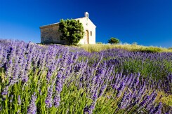 FRANCIE - PROVENCE, VŮNĚ LEVANDULE