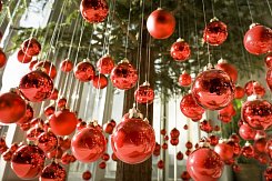 RAKOUSKO - ADVENTNÍ SALCBURK A LINEC